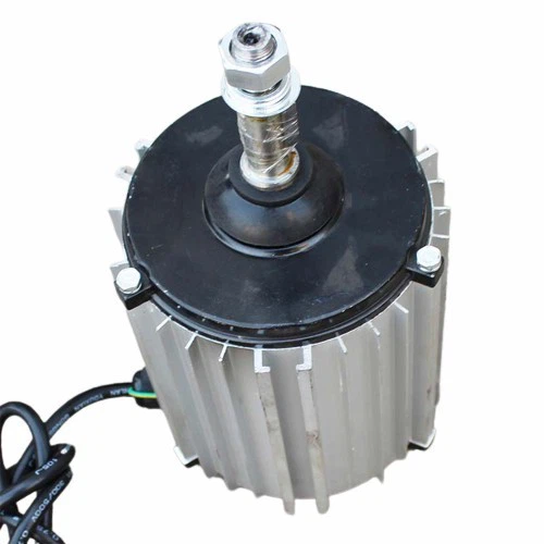 IMG_2230.JPG-removebg-preview